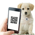 pet id tags